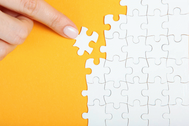 16 نکته جذاب درباره گربه اسفینکس (ابوالهول): گربه‌ای بدون مو و پر از چروک!